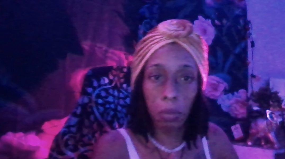 VIBES @ THE KATTSHAXX