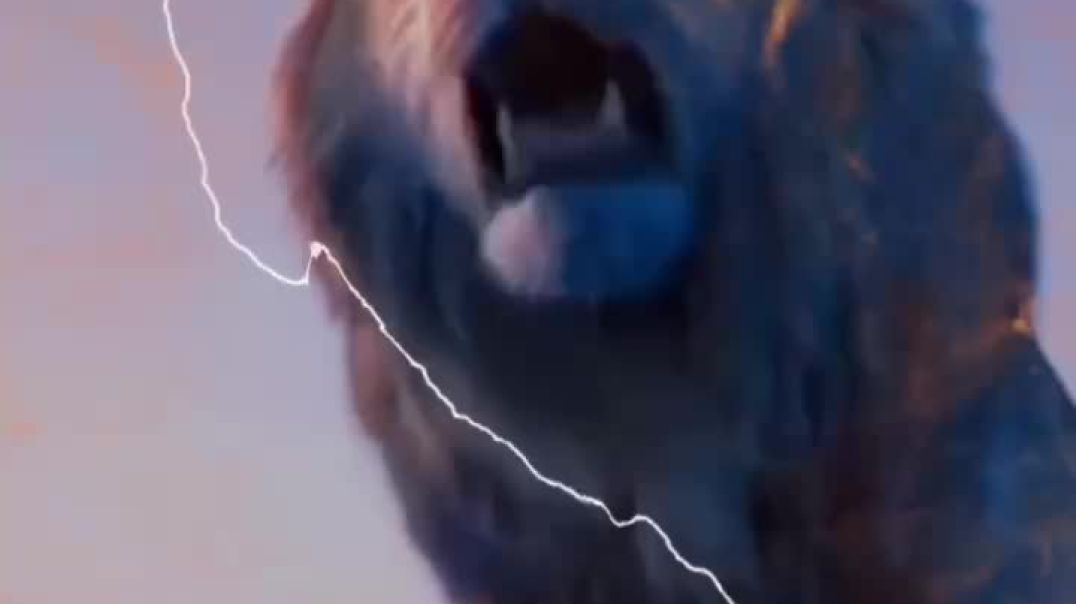 Roar Like A Lion