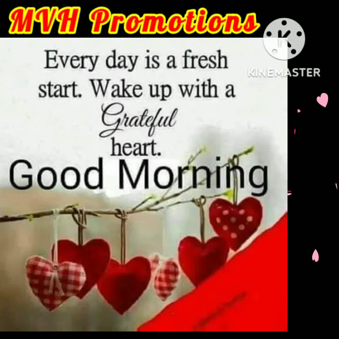 Have An Amazing Day!