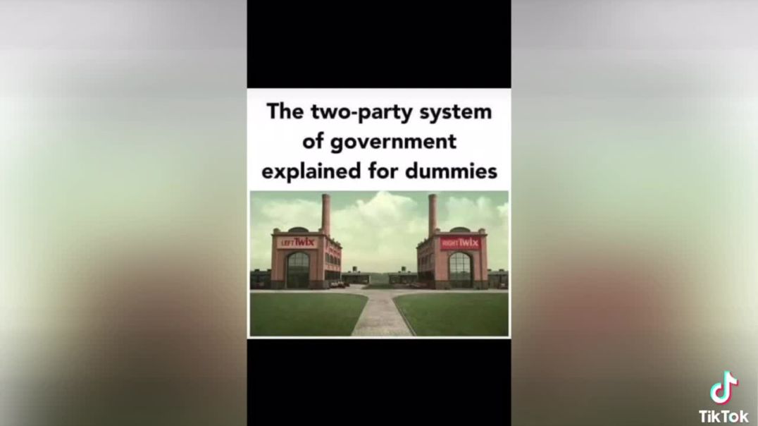 ⁣One Party Political System