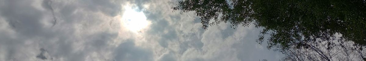 User background
