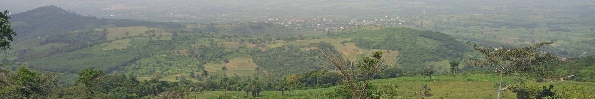 AgyaKwadwo